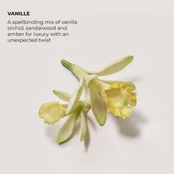 Laura Mercier Eau de Parfum Vanille 50 ml -tuoksu