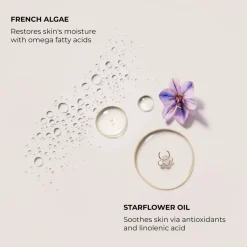 Laura Mercier Serum Body Cream Almond Coconut vartalovoide 200 ml