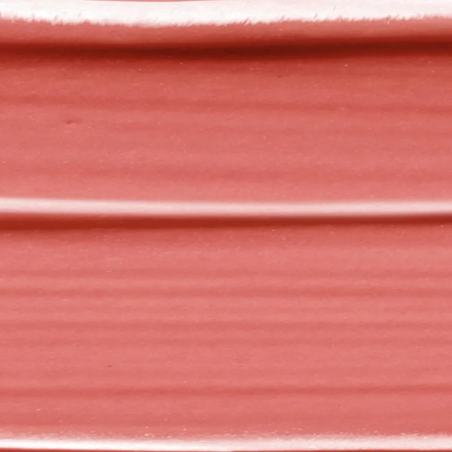 L'Oréal Paris Color Riche Nudes Insolent 181 Nu Intense -huulipuna 4,5 g