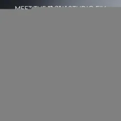 MAC Cosmetics Studio Fix Powder Plus Foundation meikkipuuteri 12 g