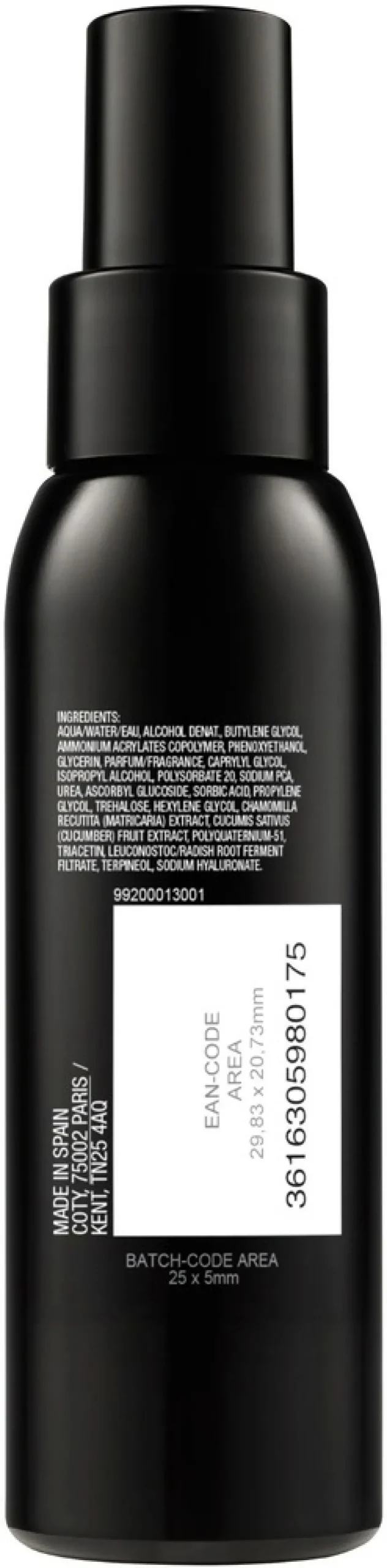 Max Factor Facefinity Finity-Fix Setting Spray meikinkiinnityssuihke 100 ml