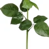 Mica decorations Sisustuskukka Ruusu 65 cm luonnonvalkoinen
