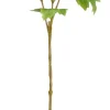 Mica decorations Sisustuskukka Heisi 81 cm vihreä