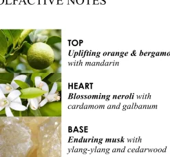 Molton Brown Orange & Bergamot Hand Cream käsivoide 40 ml