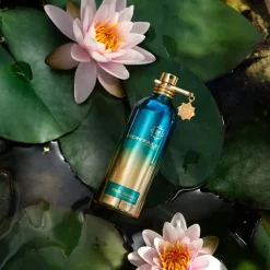 Montale Herbal aquatica edp 100 ml