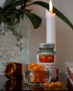 Natura Media Biosorin Gelée Royale 500 ravintolisä 60 kaps.