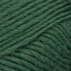 Novita lanka Hygge Chunky 100 g metsä 380