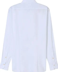 Olymp Signature Tailor Fit kauluspaita