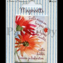 Paletti Immonen magneetti