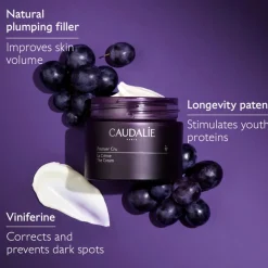 Premier Cru The Cream REFILL - 50 ml