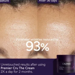 Premier Cru The Cream REFILL - 50 ml