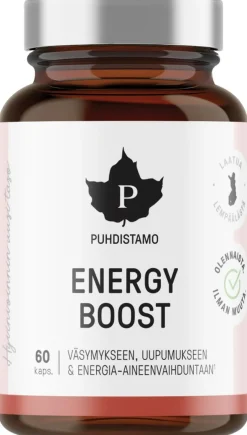 Puhdistamo EnergyBoost 60 kaps
