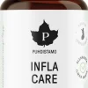 Puhdistamo InflaCare 60 kaps