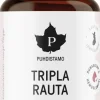 Puhdistamo Tripla Rauta 60 kaps.