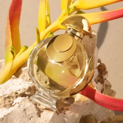 Rabanne Olympéa Elixir 30 ml -tuoksu