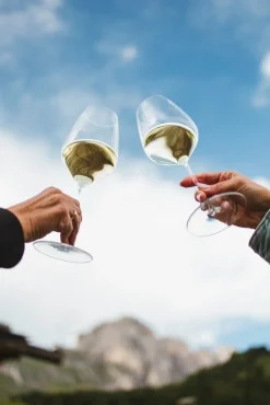 Riedel Grape@Riedel White Wine/Champagne Glass/Rosé/Spritz Drinks valkoviinilasi 2 kpl