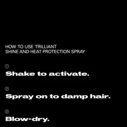 Sebastian Professional Trilliant Shine and Heat Protection Spray 150ml