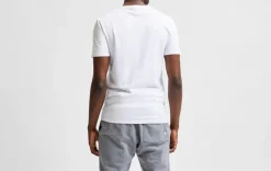 Selected Homme Pima t-paita