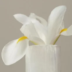 Shiseido Zen EdP tuoksu 50 ml