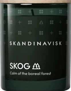Skandinavisk SKOG Tuoksukynttilä puukannella 65g, vihreä