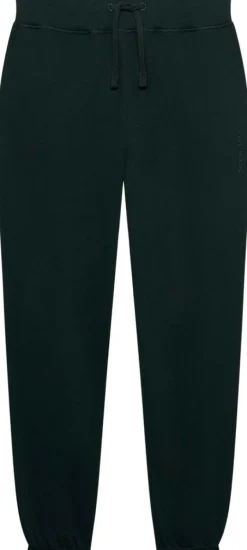 Superdry Essential company logo collegehousut