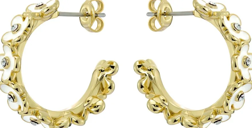 Ted Baker Garvi Korvakorut