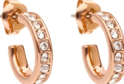 Ted Baker Seenita crystal nano silver korvarenkaat
