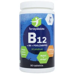 Terveyskaista B12+B6+Foolihappo 90 tabl. PITKÄVAIKUTTEINEN
