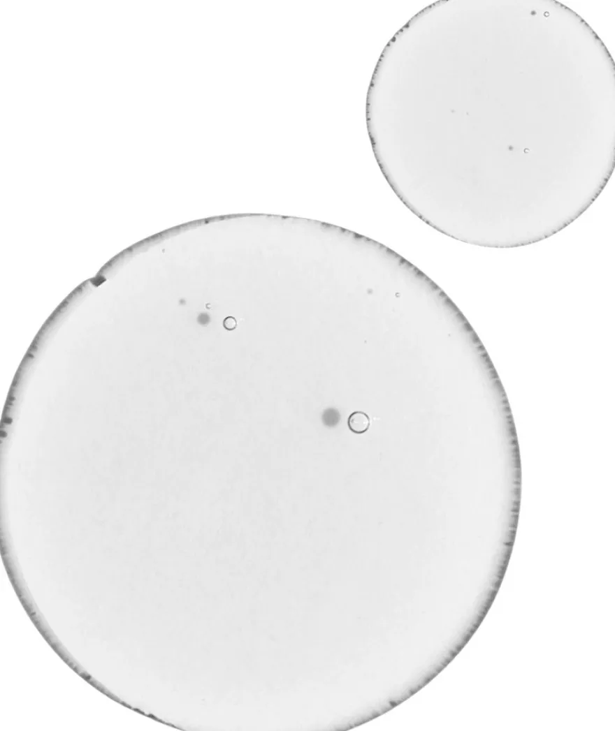 The Ordinary Natural Balancing & Clarifying Seerumi 30 ml