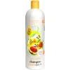 Treaclemoon Brazilian Love Repair With Shine Shampoo 500ml