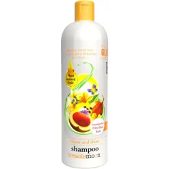 Treaclemoon Brazilian Love Repair With Shine Shampoo 500ml
