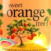 Treaclemoon Sweet Orange Tree Shower Gel -suihkugeeli 500ml