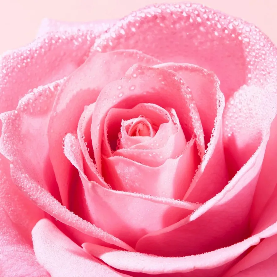 Very rose micellar water 200 ml