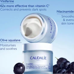Vinoperfect Vinoperfect Dark Spot Niacinamide Moisturizer REFILL - 50ml