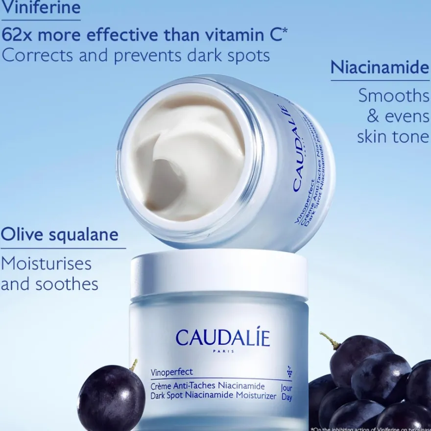 Vinoperfect Vinoperfect Dark Spot Niacinamide Moisturizer REFILL - 50ml