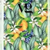 Vivian Gray Sensational Sparkling Orange suihkugeeli 350 ml