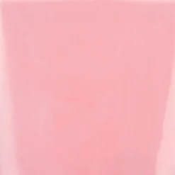 WE CARE ICON. kynsilakka 11 ml