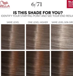 Wella Professionals Color Touch Brown Medium Maple Brown 6/71 kotiväri 130 ml