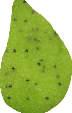 Yummy! Kiwi Kisses Body Scrub